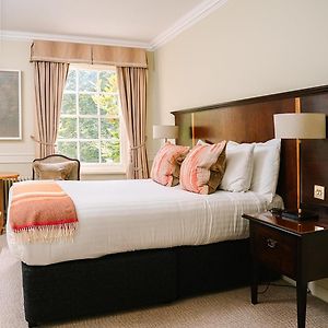 Mansion House Comfy